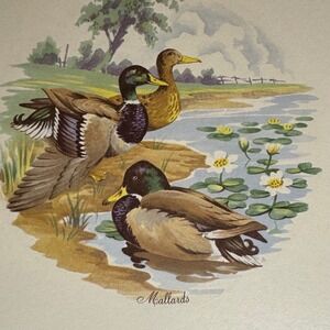 Vintage VTG Mallard‎ Duck Tile Trivet Wall Decor Farmhouse Kitchen Decor 8sq"